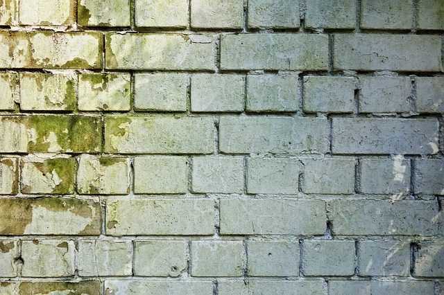 How Homeowners Insurance Covers Water Damage